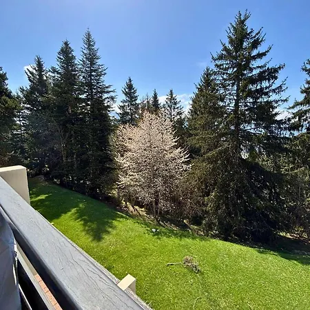Daire Grand Lumineux De 39 M² Avec Terrasse Expose Sud